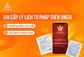 Hướng dẫn quy trình nộp hồ sơ Cấp Phiếu lý lịch tư pháp trực tuyến