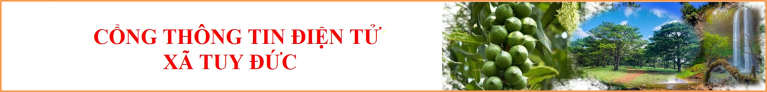 image banner